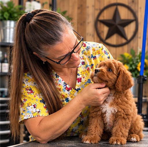 Lisa gently introducing a red puppy to grooming and handling