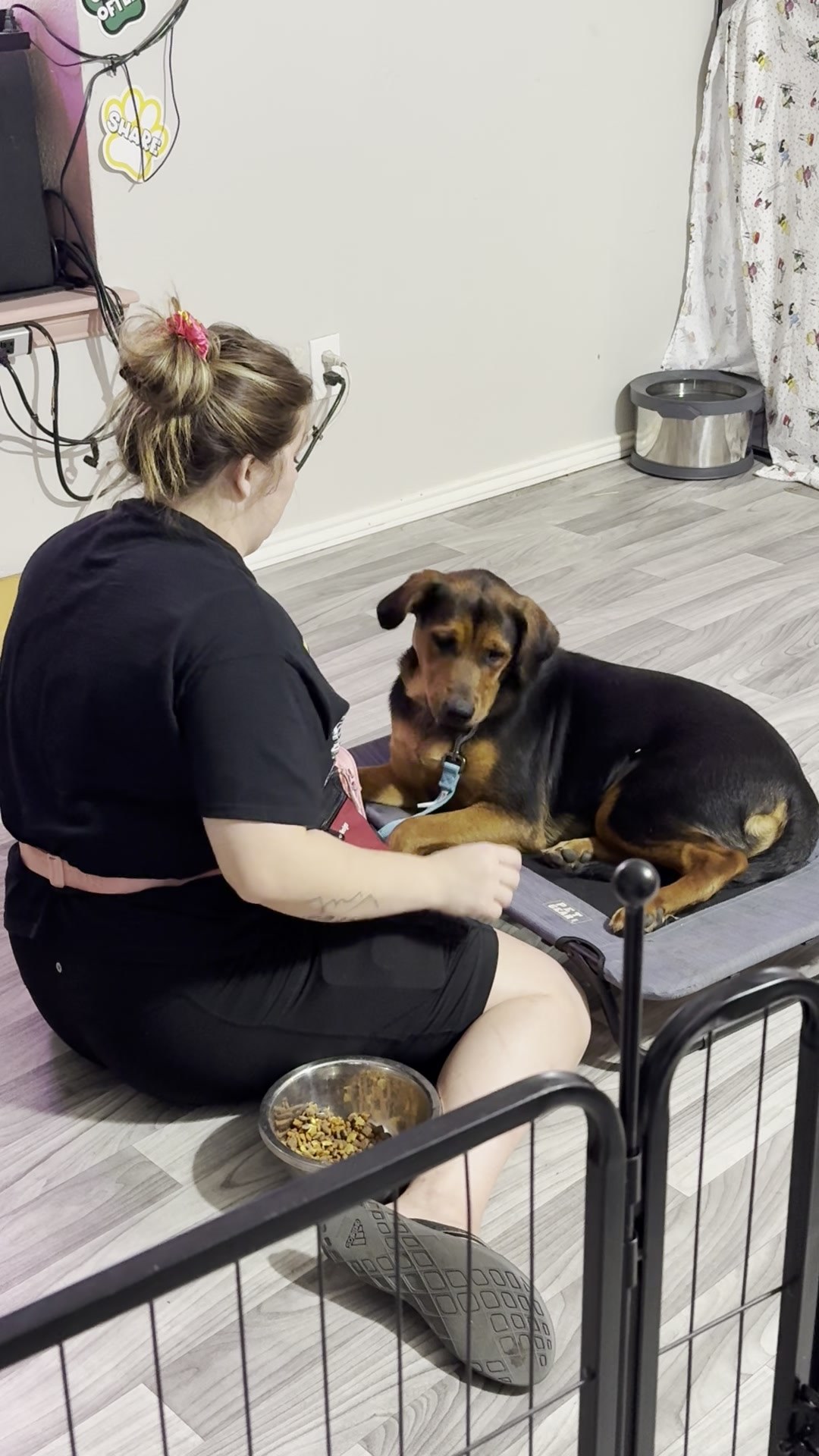 MMK9 trainer and dog practicing Place at home